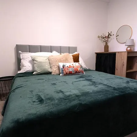 Apartment Wittgruber's Upperroom *